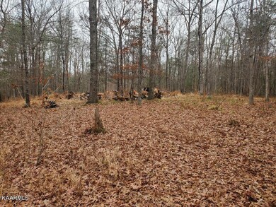 Scott Wyatt Pictures #5