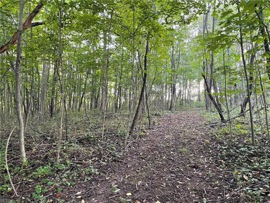 0 Poland Unity Rd unit 4314523, East Palestine, OH 44413 - photo 5