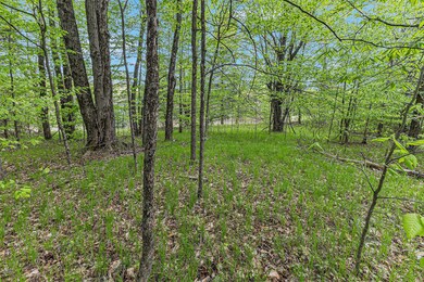 005_img_0952_462
