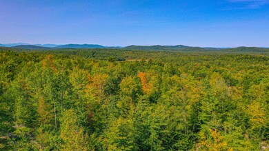 87 dyke mountain road-3