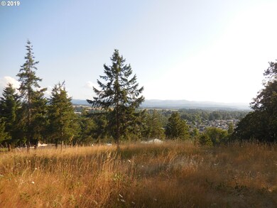 0 NE Center St, Sheridan, OR 97378 - photo 3