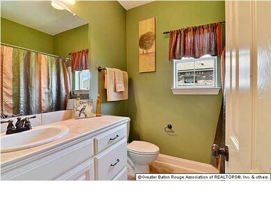 Guest bath with custom paint, drop in all in one t