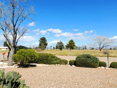 View from Front Yard