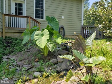 9041 Ellis Ln, Spotsylvania, VA 22553 - photo 4