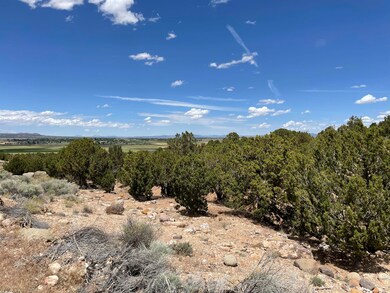 921 S Panorama Dr, Cedar City, UT 84720 - photo 7