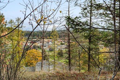 25 Ponderosa Ln, Big Fork, MT 59911 - photo 5