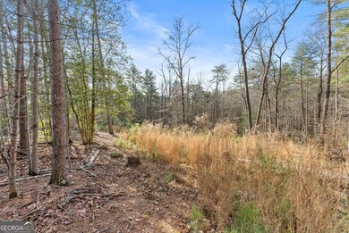 1361 Soque Ridge Cir, Demorest, GA 30535 - photo 3