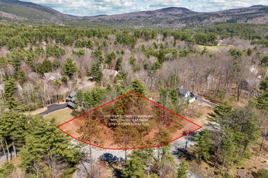 0 Country Rd unit 71, AKA 131 4993072, Conway, NH 03860 - photo 4