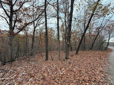 2400 Irish Ridge Rd, Philo, OH 43771 - photo 5