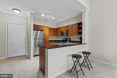 12917 Centre Park Cir unit 412, Herndon, VA 20171 - photo 4