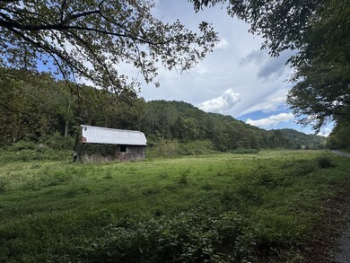 0 Hurricane Branch Ln unit RTC2988788, Gainesboro, TN 38562 - photo 7