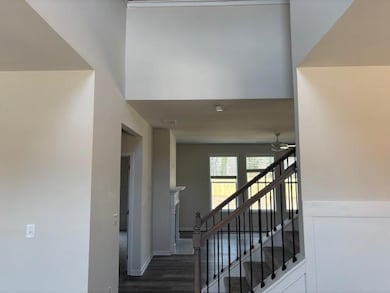 Stairway with a ceiling fan and wood finished floors