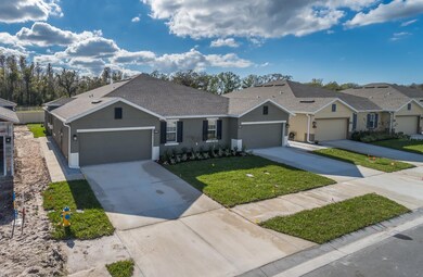 17897 Turning Leaf Cir, Land O Lakes, FL 34638 - photo 2