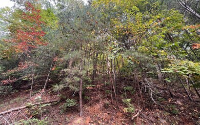Additional View