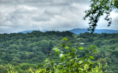 Additional View