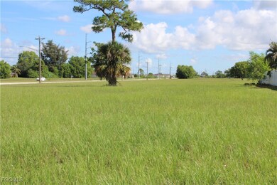 1719 Santa Barbara Blvd N, Fort Myers, FL 33993 - photo 4