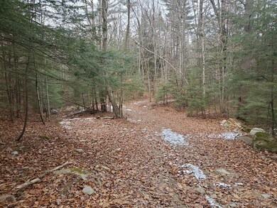 00 Morts Rd, Chesterfield, NH 03462 - photo 2