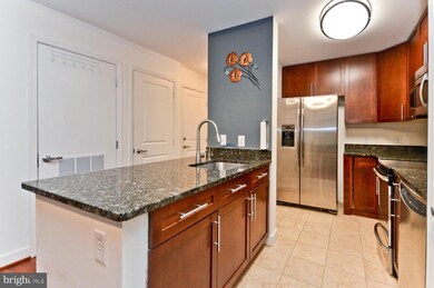 One National Harbor unit 523, Oxon Hill, MD 20745 - photo 7