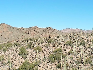 0 E Silver Tip Rd unit 6955485, Queen Valley, AZ 85118 - photo 3