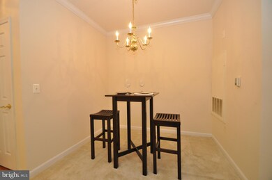4550 Strutfield Ln unit 2316, Alexandria, VA 22311 - photo 5