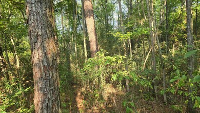Alabama St, Roxie, MS 39661 - photo 7