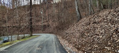 0 Emerald Springs Loop unit 1205247, Sevierville, TN 37862 - photo 6