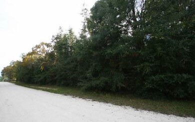 TBD NW Open Ct, Lake City, FL 32055 - photo 3