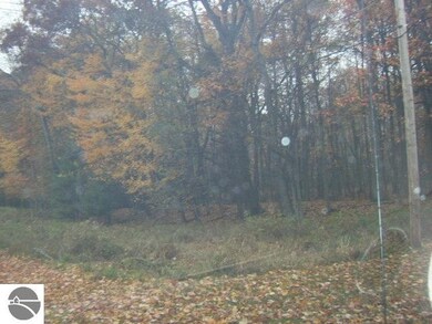 00 Rumsey Rd, Au Gres, MI 48703 - photo 2