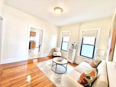 15 Cushman Rd unit 1, Brighton, MA 02135 - photo 3