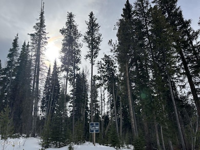 2362 Pioneer Trail, Fraser, CO 80482 - photo 3