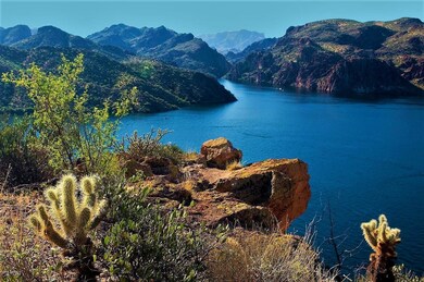 Saguaro Lake