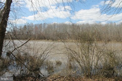 0 Governors Point Ln unit 1002371518, Unionville, VA 22567 - photo 3