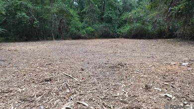 Tract A John D Wood Rd, Franklinton, LA 70438 - photo 6