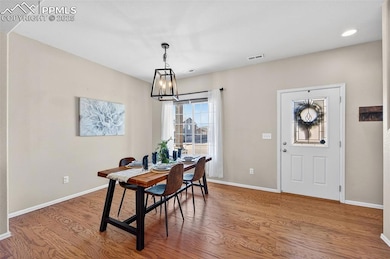 7913 Dry Willow Way, Colorado Springs, CO 80908 - photo 5