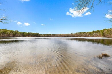 29 Signe Rd, Dennis, MA 02638 - photo 5