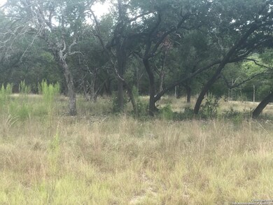20307 Bobwhite Run, San Antonio, TX 78256 - photo 2