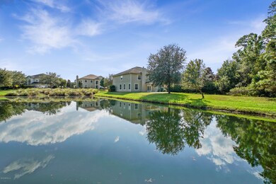 Pond View