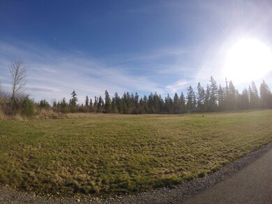 unlisted-address, Yelm, WA 98597 - photo 4