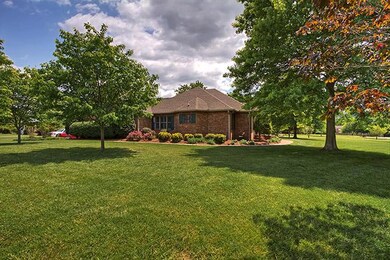 Look at all this space and well manicured landscaping that is easy to maintain.