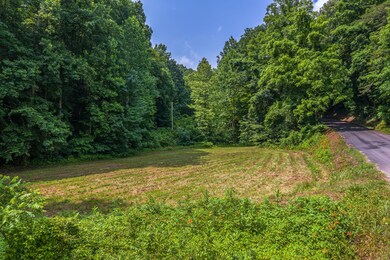 00 Dyer Hollow Rd 2