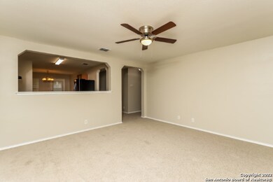 24734 Magnolia Falls, San Antonio, TX 78261 - photo 7