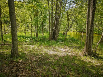 Parcel A E Conrad Rd, Custer, MI 49405 - photo 4