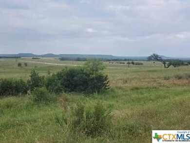 Lot 47 Cottonwood Mesa Dr, Kempner, TX 76539 - photo 3