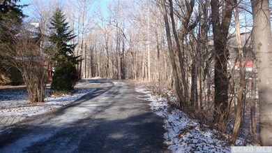 42 Schoharie Ave, Hunter, NY 12442 - photo 5