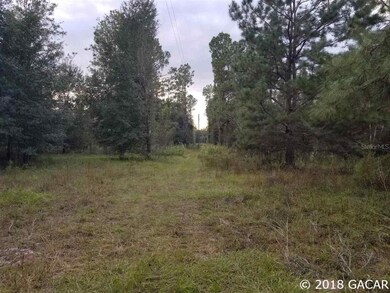 479 SW Manning Place, Lake City, FL 32024 - photo 4