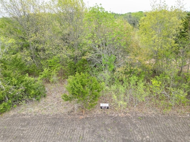 194 Fan Mill Trail, Weatherford, TX 76085 - photo 3