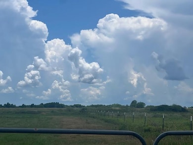 11403 Fm 1994 Rd, Guy, TX 77444 - photo 4