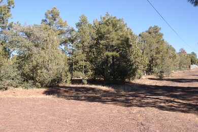 Corner Lot