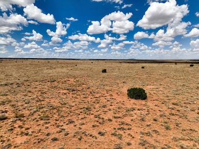 0 Well Field Rd unit 24407445, Winslow, AZ 86047 - photo 5
