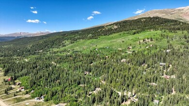 234 Peterson Dr, Fairplay, CO 80440 - photo 7